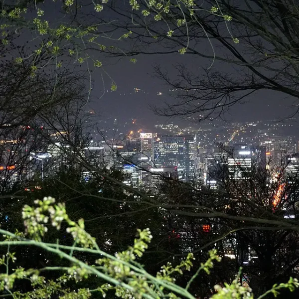 로열 보미스튜디오 테라피 대표 안내 이미지