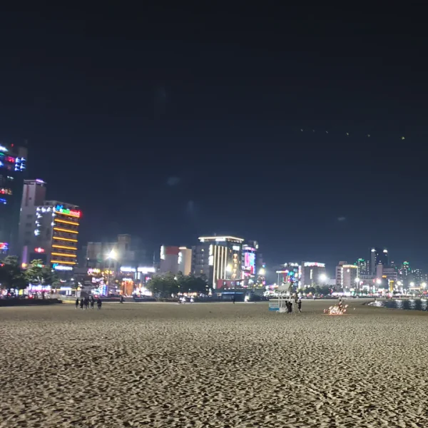 시그니처 네이처스튜디오 홈타이 대표 안내 이미지